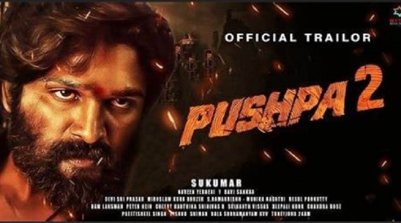 delay in pushpa 2 release