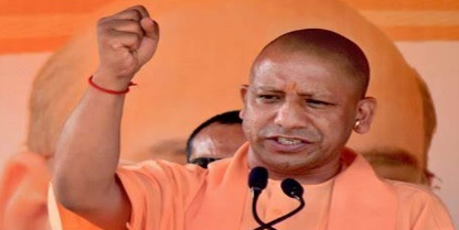 yogi