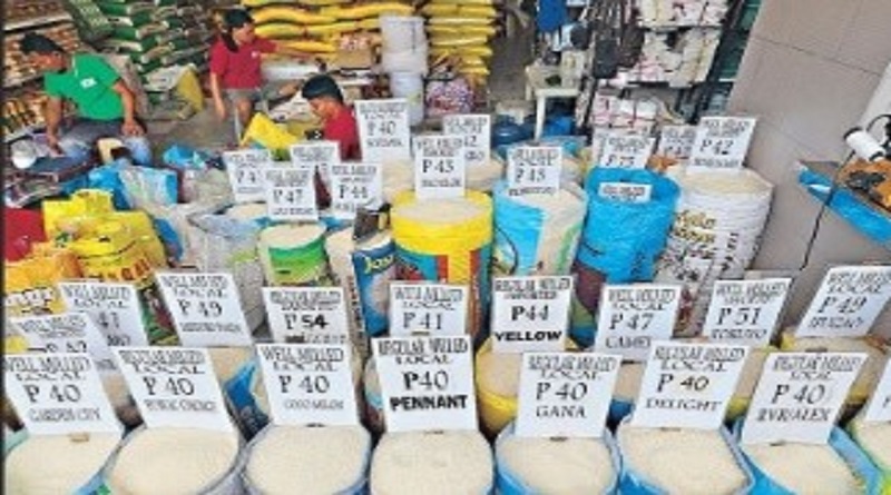 japan rice