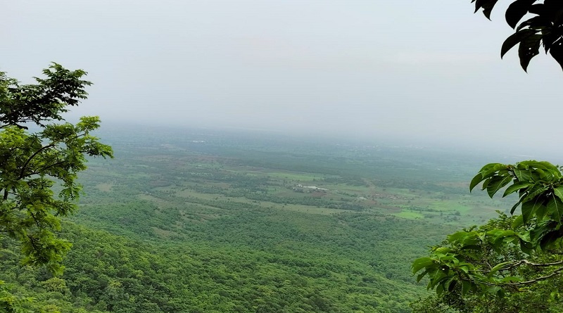 silence and nature