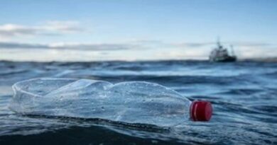 plastic pollution