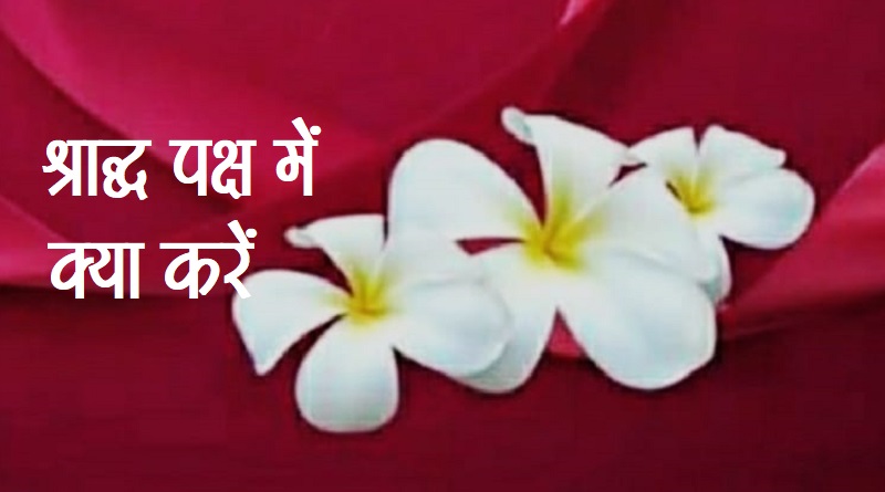 पितृदोष उपाय