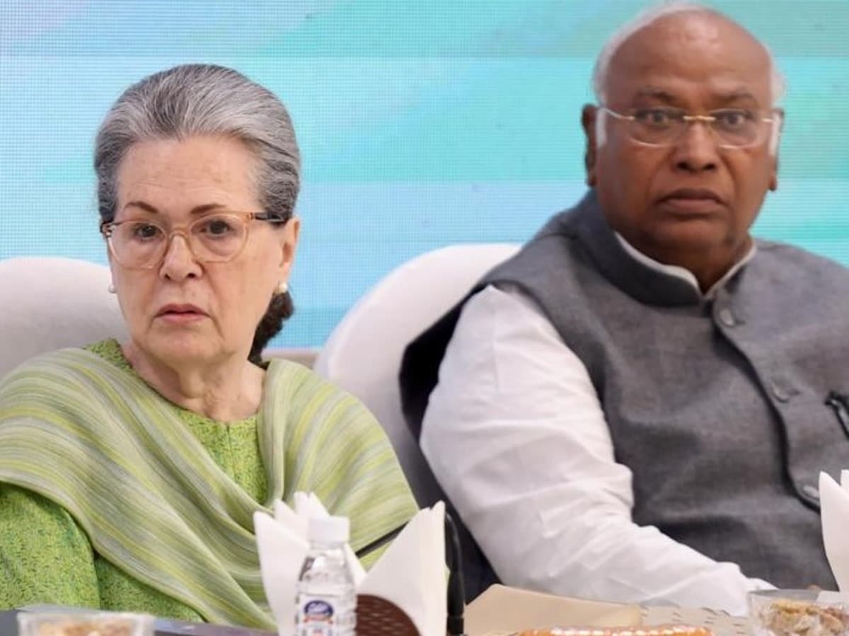Sonia Gandhi जब भारतीय नागरिक नहीं थीं तब मतदाता कैसे थीं