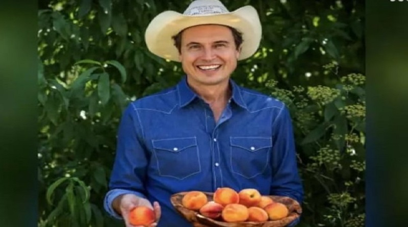 elon musk brother